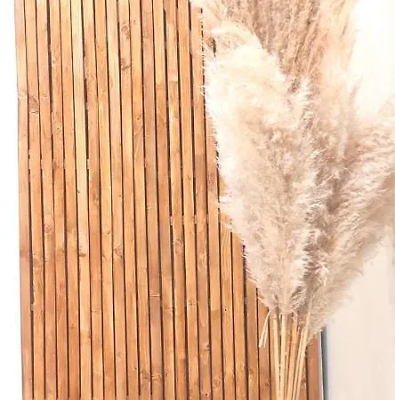 아파트 Chez Charlotte-appartement Atypique 8
