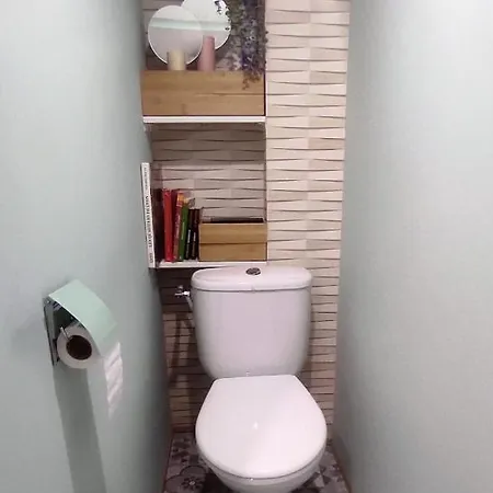 아파트 Chez Charlotte-appartement Atypique 8 *